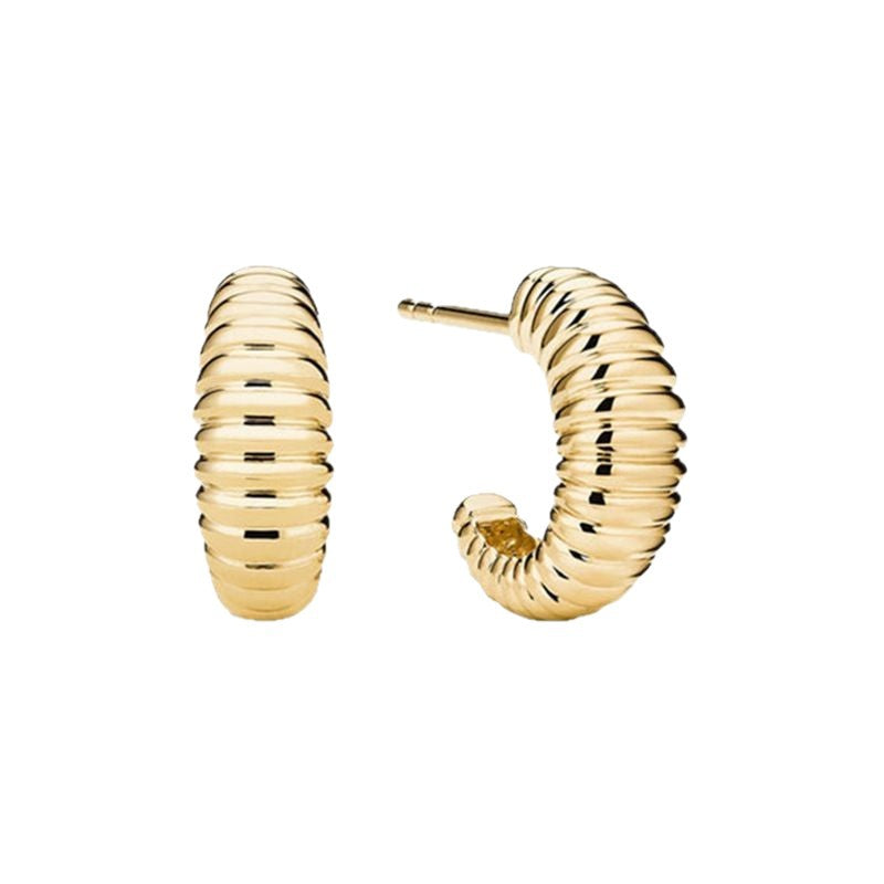 JUSSAN Modern Sterling Silver Earrings